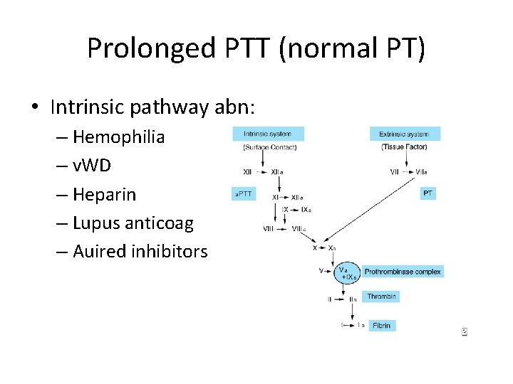 Prolonged PTT (normal PT) • Intrinsic pathway abn: – Hemophilia – v. WD –