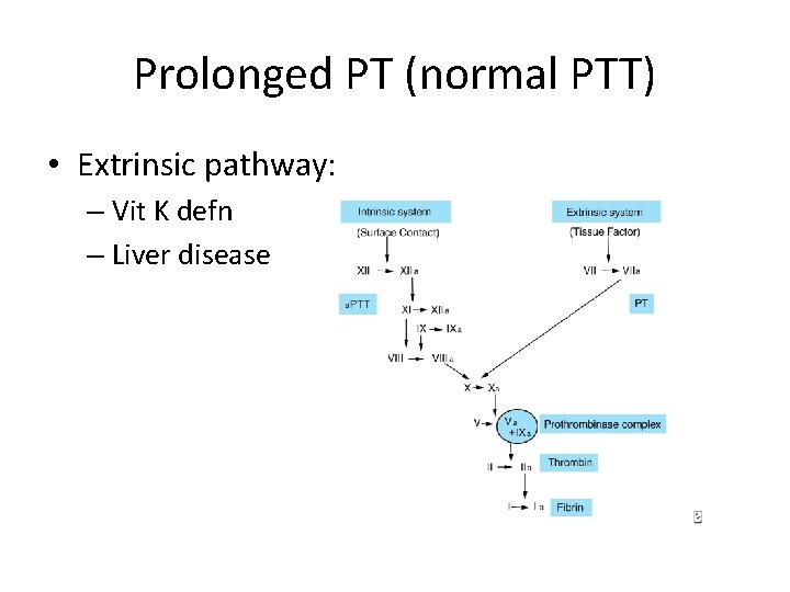 Prolonged PT (normal PTT) • Extrinsic pathway: – Vit K defn – Liver disease