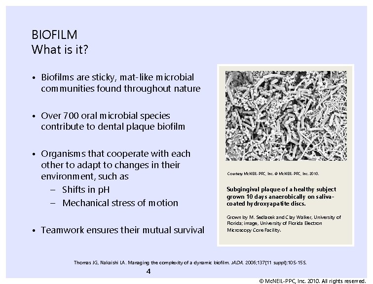 BIOFILM What is it? • Biofilms are sticky, mat-like microbial communities found throughout nature