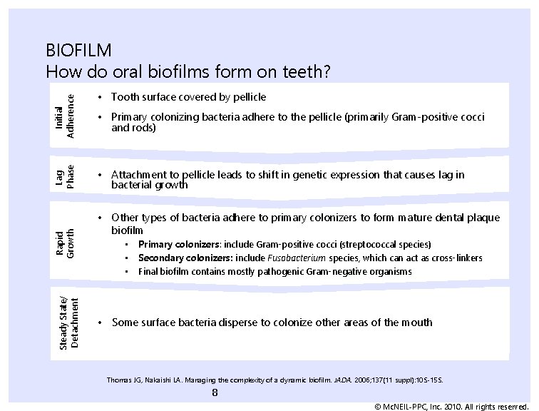 Steady State/ Detachment Rapid Growth Lag Phase Initial Adherence BIOFILM How do oral biofilms