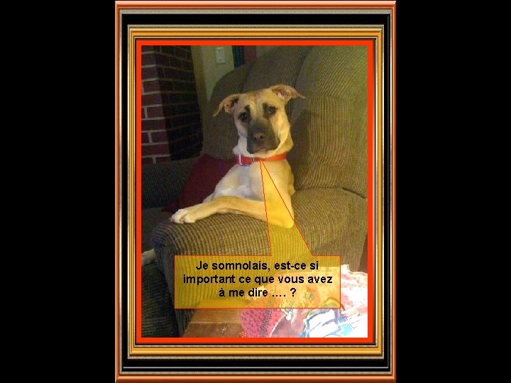 Je somnolais, est-ce si important ce que vous avez à me dire …. ?