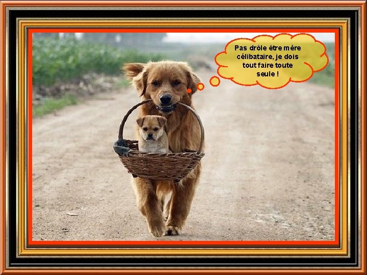 Pas drôle être mère célibataire, je dois tout faire toute seule ! 