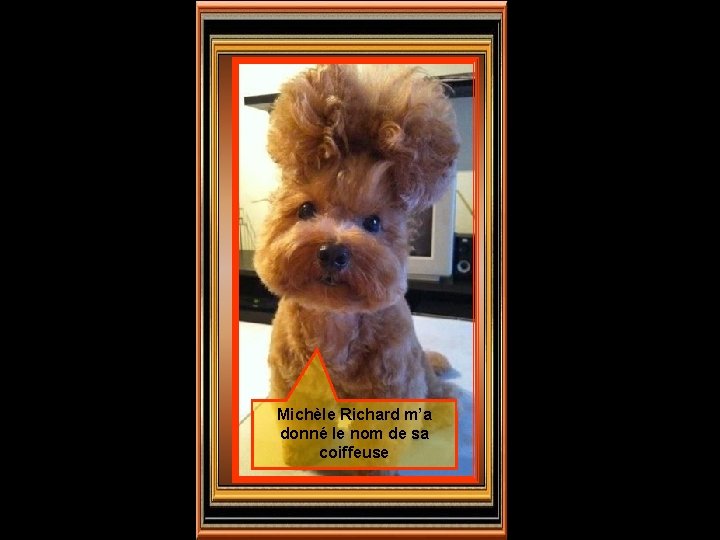 Michèle Richard m’a donné le nom de sa coiffeuse 