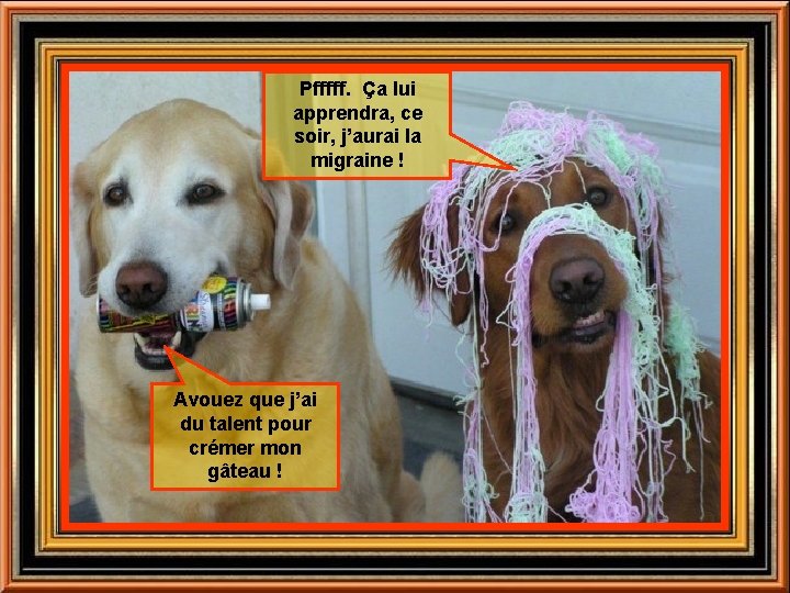 Pfffff. Ça lui apprendra, ce soir, j’aurai la migraine ! Avouez que j’ai du