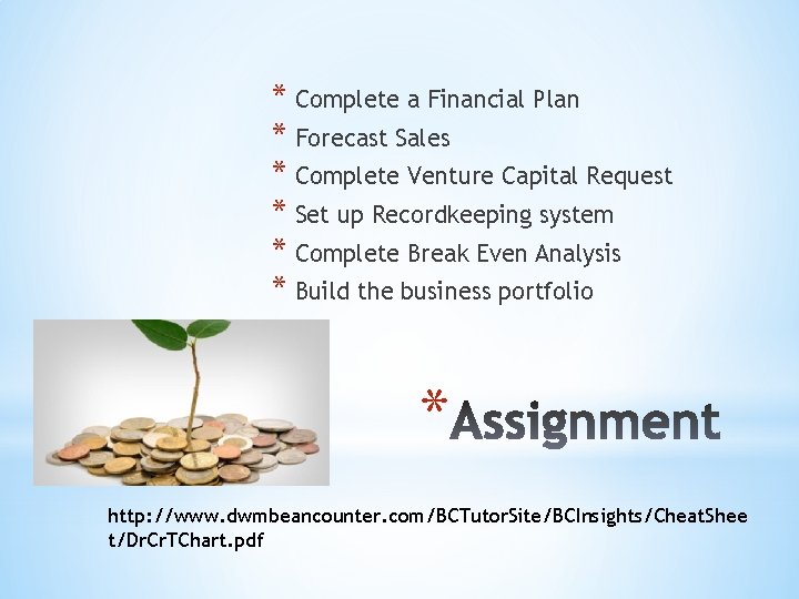 * Complete a Financial Plan * Forecast Sales * Complete Venture Capital Request *
