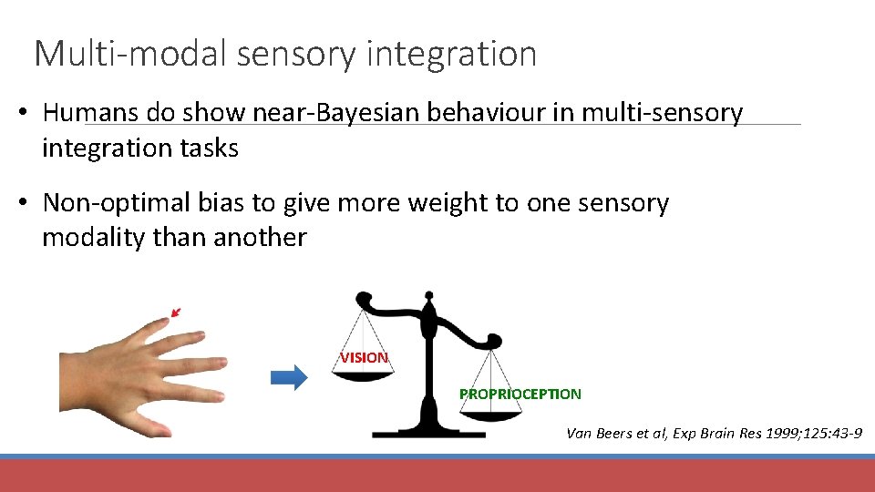 Multi-modal sensory integration • Humans do show near-Bayesian behaviour in multi-sensory integration tasks •