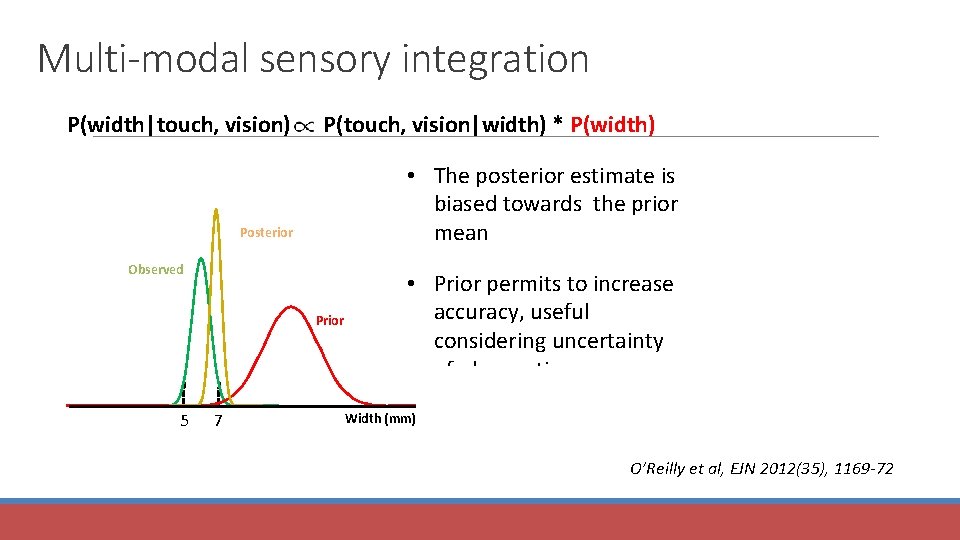 Multi-modal sensory integration P(width|touch, vision) P(touch, vision|width) * P(width) • The posterior estimate is