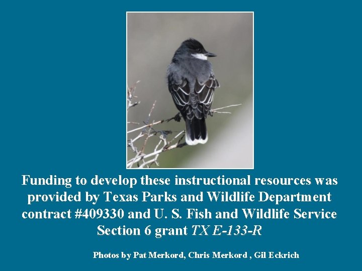 Funding to develop these instructional resources was provided by Texas Parks and Wildlife Department
