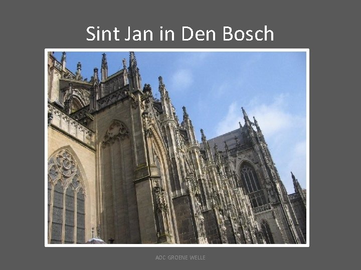 Sint Jan in Den Bosch AOC GROENE WELLE 