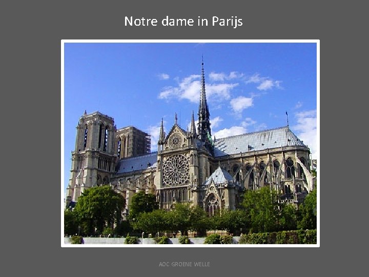 Notre dame in Parijs AOC GROENE WELLE 