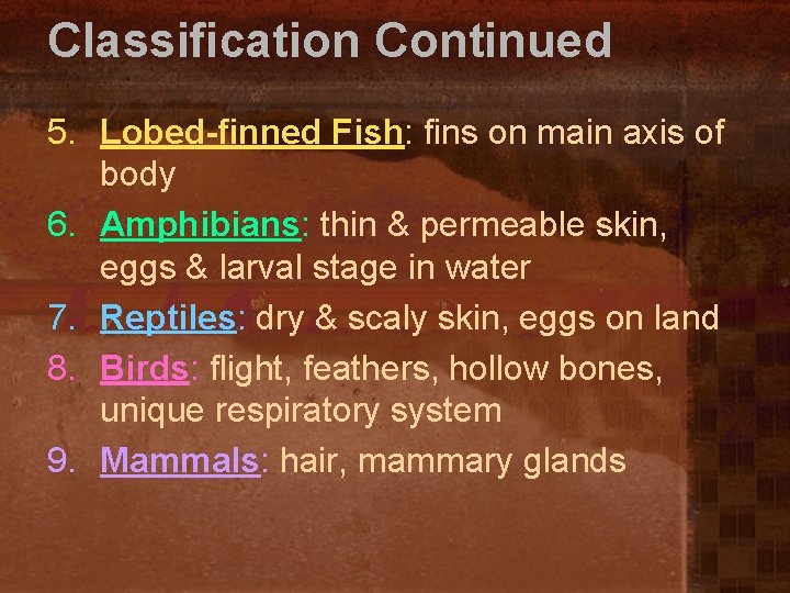 Classification Continued 5. Lobed-finned Fish: fins on main axis of body 6. Amphibians: thin