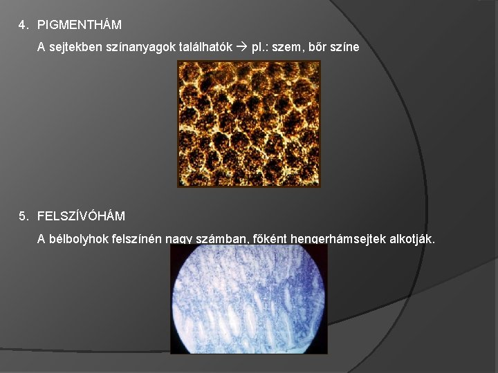 4. PIGMENTHÁM A sejtekben színanyagok találhatók pl. : szem, bőr színe 5. FELSZÍVÓHÁM A