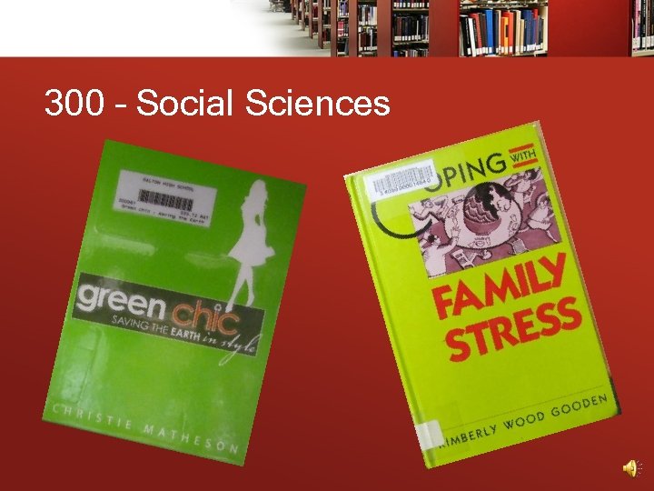 300 – Social Sciences 