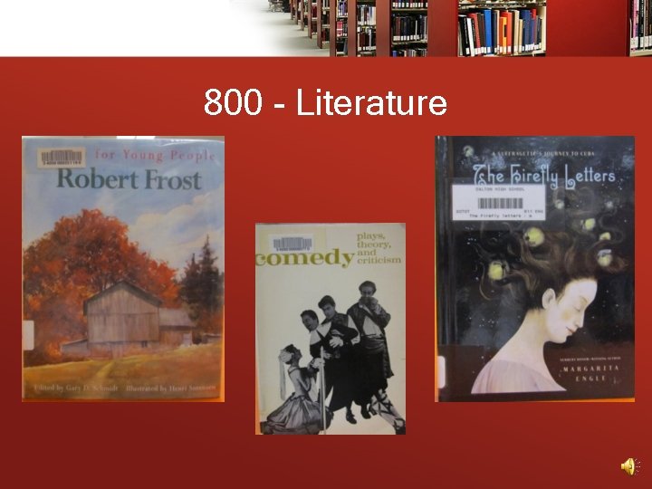 800 - Literature 