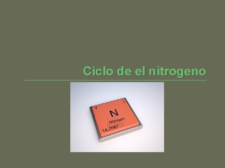 Ciclo de el nitrogeno 