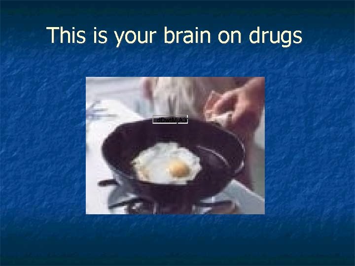 This is your brain on drugs 