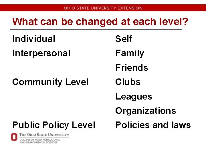 What can be changed at each level? Individual Self Interpersonal Family Friends Community Level
