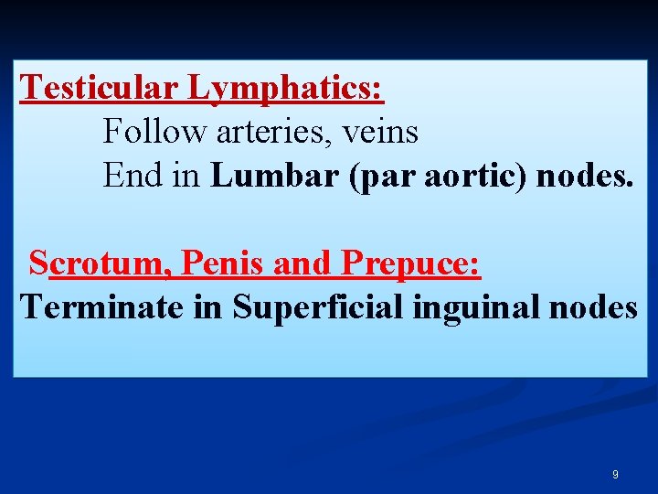 Testicular Lymphatics: Follow arteries, veins End in Lumbar (par aortic) nodes. Scrotum, Penis and