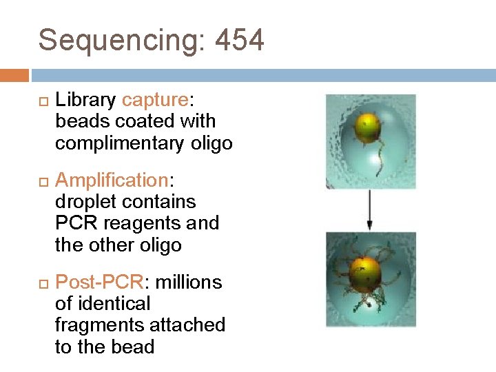 Sequencing: 454 Library capture: beads coated with complimentary oligo Amplification: droplet contains PCR reagents