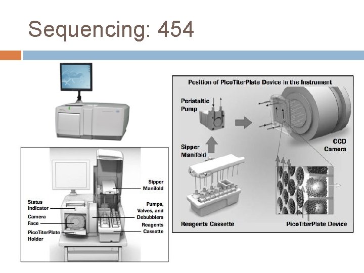 Sequencing: 454 