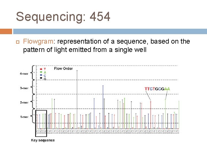 Sequencing: 454 Flowgram: representation of a sequence, based on the pattern of light emitted