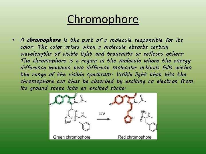 Chromophore • A chromophore is the part of a molecule responsible for its color.