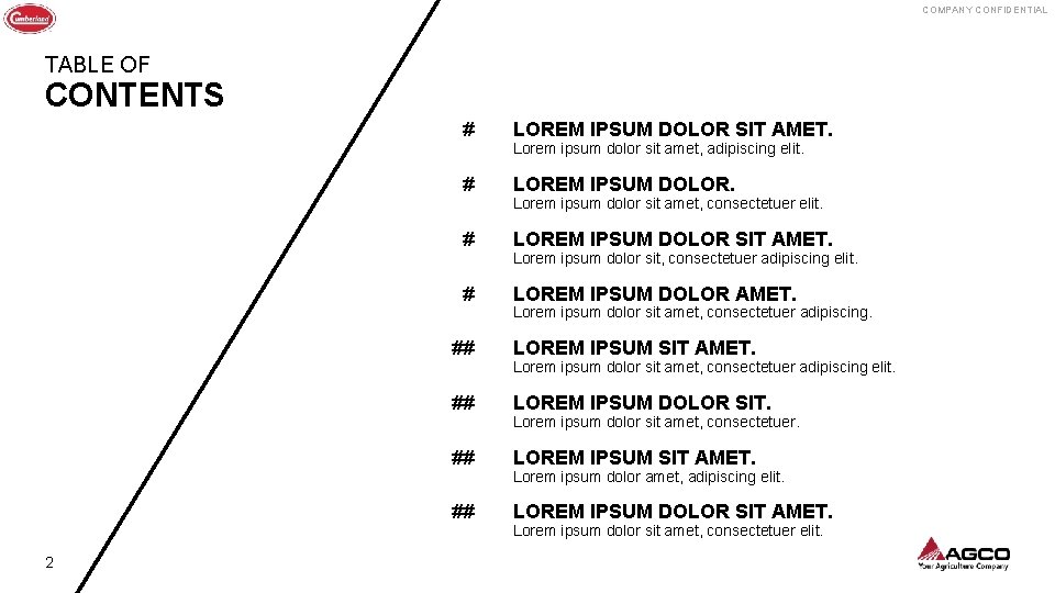 COMPANY CONFIDENTIAL TABLE OF CONTENTS 2 # LOREM IPSUM DOLOR SIT AMET. # LOREM