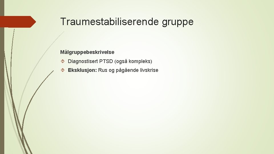 Traumestabiliserende gruppe Målgruppebeskrivelse Diagnostisert PTSD (også kompleks) Eksklusjon: Rus og pågående livskrise 