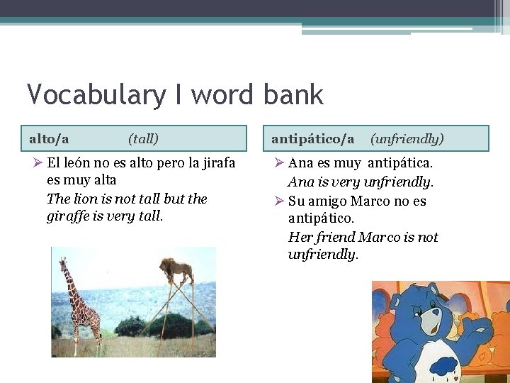 Vocabulary I word bank alto/a (tall) Ø El león no es alto pero la