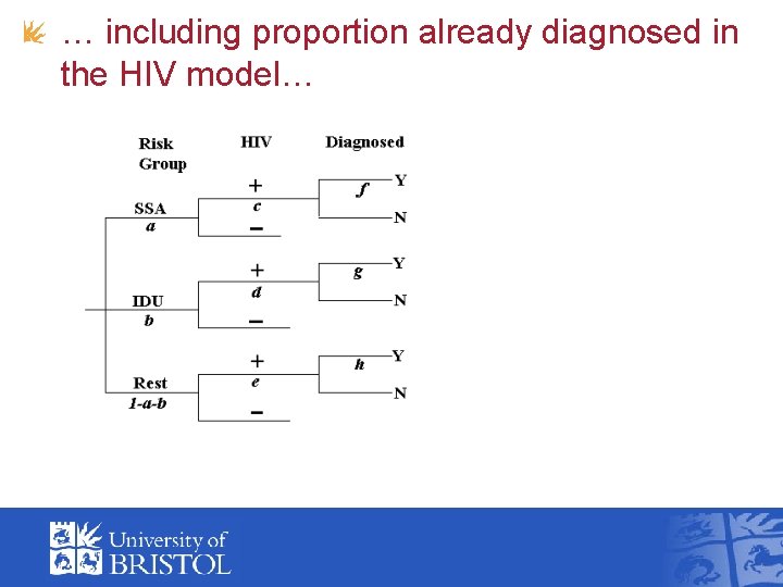 … including proportion already diagnosed in the HIV model… 