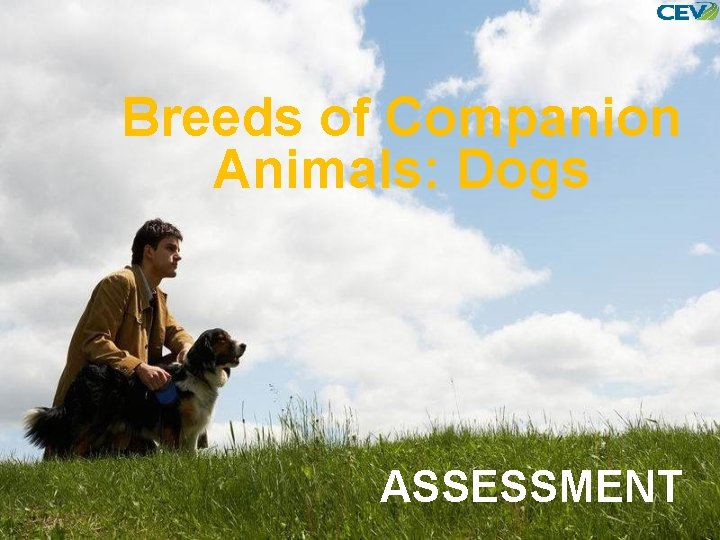 Breeds of Companion Animals: Dogs ASSESSMENT 