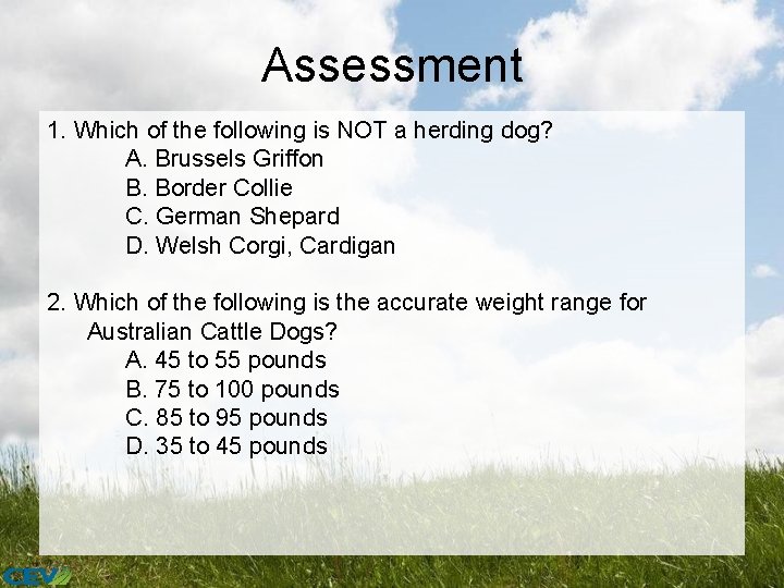Assessment 1. Which of the following is NOT a herding dog? A. Brussels Griffon
