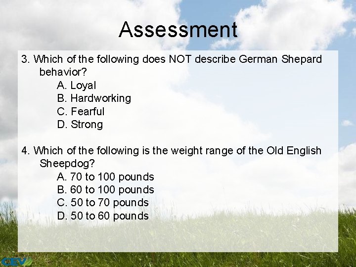 Assessment 3. Which of the following does NOT describe German Shepard behavior? A. Loyal