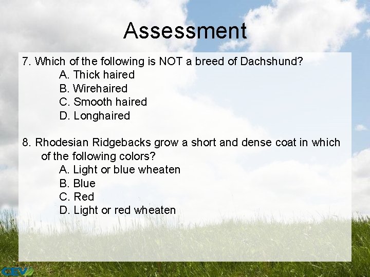 Assessment 7. Which of the following is NOT a breed of Dachshund? A. Thick