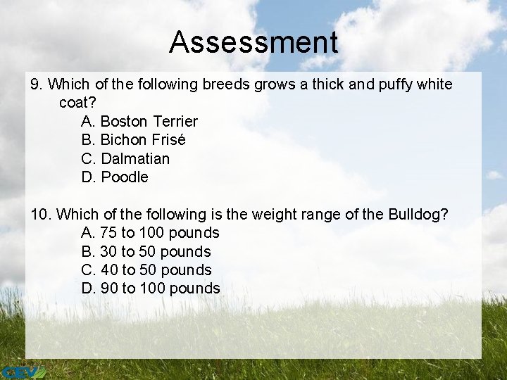 Assessment 9. Which of the following breeds grows a thick and puffy white coat?