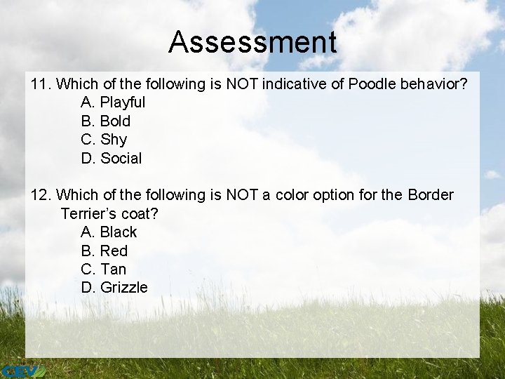 Assessment 11. Which of the following is NOT indicative of Poodle behavior? A. Playful