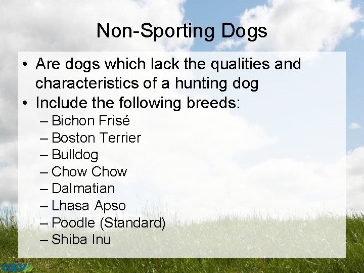 Non-Sporting Dogs • Are dogs which lack the qualities and characteristics of a hunting