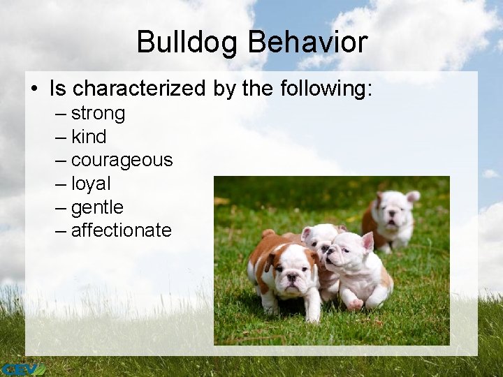 Bulldog Behavior • Is characterized by the following: – strong – kind – courageous