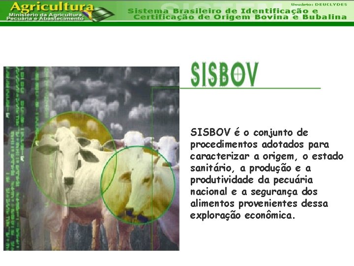 SISBOV é o conjunto de procedimentos adotados para caracterizar a origem, o estado sanitário,