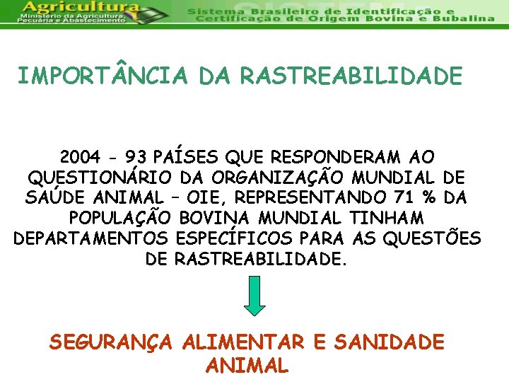 IMPORT NCIA DA RASTREABILIDADE 2004 - 93 PAÍSES QUE RESPONDERAM AO QUESTIONÁRIO DA ORGANIZAÇÃO