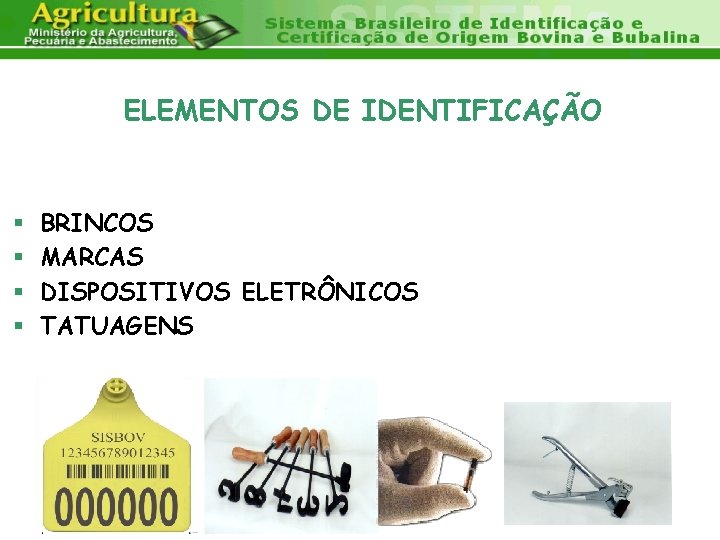 ELEMENTOS DE IDENTIFICAÇÃO § § BRINCOS MARCAS DISPOSITIVOS ELETRÔNICOS TATUAGENS 
