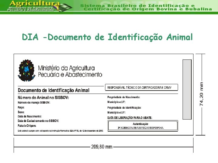 DIA -Documento de Identificação Animal 