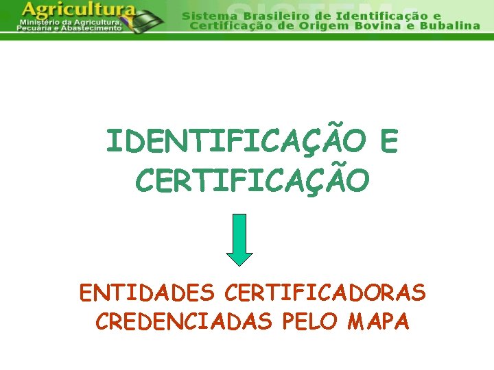 IDENTIFICAÇÃO E CERTIFICAÇÃO ENTIDADES CERTIFICADORAS CREDENCIADAS PELO MAPA 