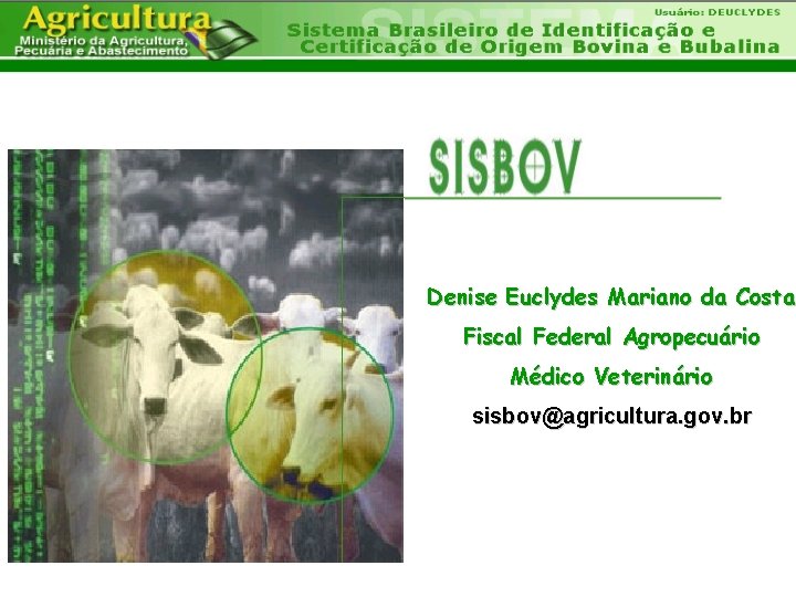 Denise Euclydes Mariano da Costa Fiscal Federal Agropecuário Médico Veterinário sisbov@agricultura. gov. br 