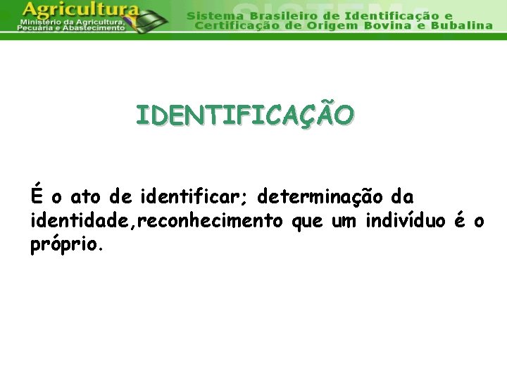 IDENTIFICAÇÃO É o ato de identificar; determinação da identidade, reconhecimento que um indivíduo é