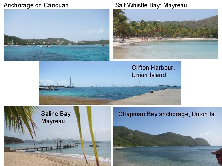 Anchorage on Canouan Salt Whistle Bay: Mayreau Clifton Harbour, Union Island Saline Bay Mayreau