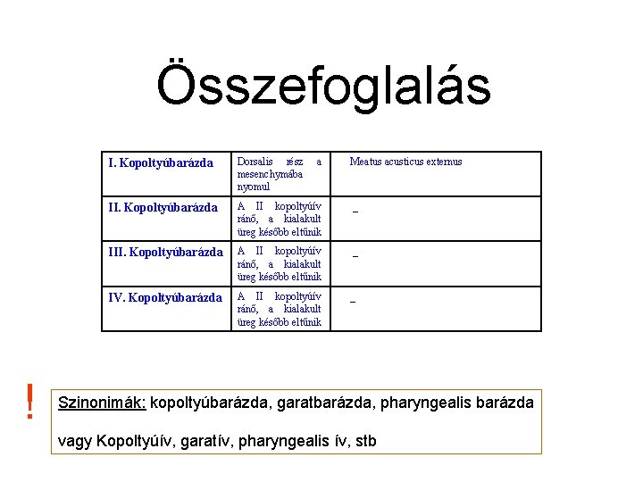 Összefoglalás ! I. Kopoltyúbarázda Dorsalis rész a mesenchymába nyomul Meatus acusticus externus II. Kopoltyúbarázda