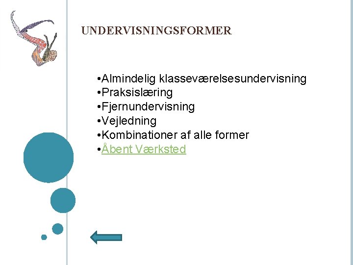 UNDERVISNINGSFORMER • Almindelig klasseværelsesundervisning • Praksislæring • Fjernundervisning • Vejledning • Kombinationer af alle