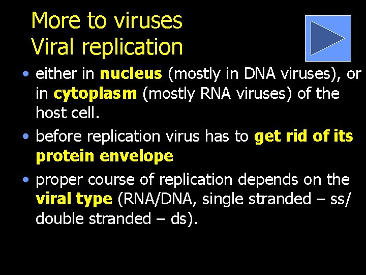 More to viruses Viral replication • either in nucleus (mostly in DNA viruses), or