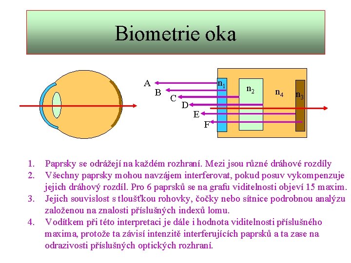 Biometrie oka A B n 1 C D E n 2 n 4 n